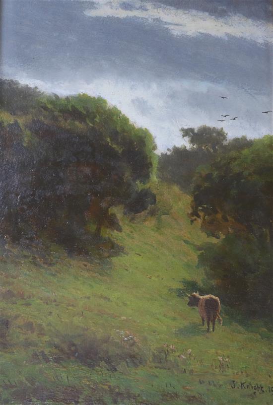 Joseph Knight Highland cow in a field 13 x 9in.